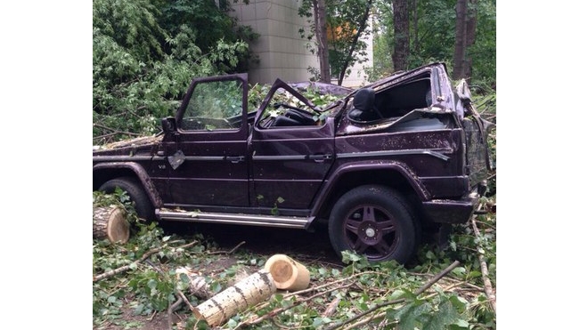 Последствие шторма в Москве: пострадали семь человек, повалено более 300 деревьев
