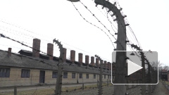 Польша пригласит Владимира Путина на годовщину освобождения концлагеря в Освенциме 