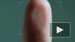 Ученые научились определять срок давности отпечатков пальцев