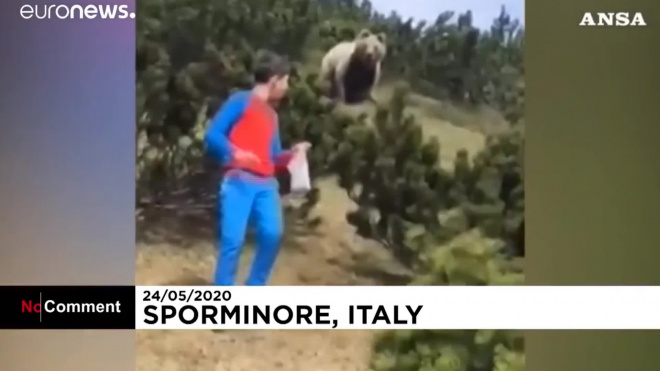 В Италии 12-летний мальчик спокойно ушел от преследовавшего его медведя