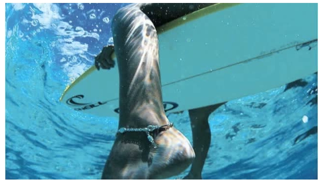 У берегов Австралии белая акула разорвала напополам серфера