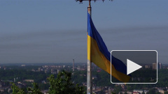 В Киеве отвергли идею "12 шагов к миру в Донбассе"