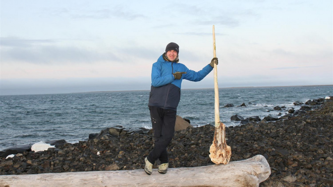 В России нашли череп арктического единорога