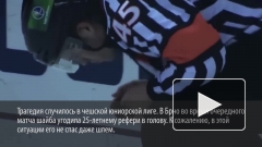 В Чехии хоккейный арбитр умер после удара шайбой в голову