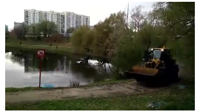 В Ясенево автомобиль с женщиной и ребенком съехал в пруд и затонул
