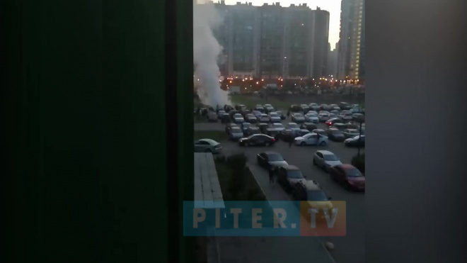 Видео: в Мурино загорелись автомобили