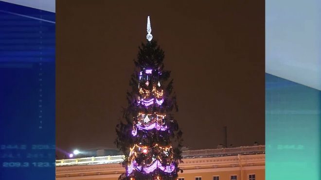 Главную елку Петербурга выберут жители и гости города