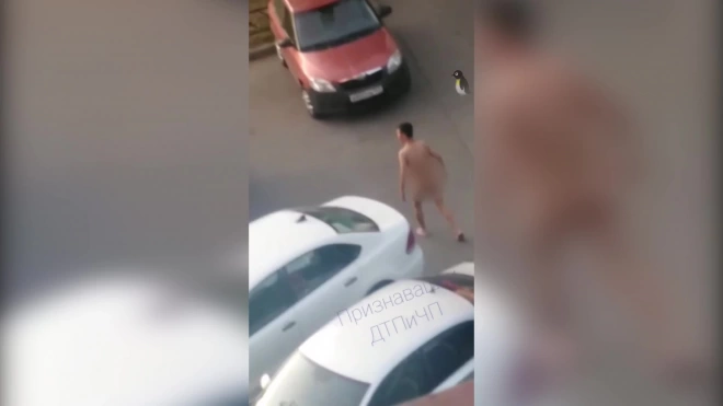 На улице Партизана Германа голый петербуржец отшлёпал припаркованные машины
