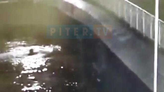 Падение девушки с моста в Фонтанку попало на видео