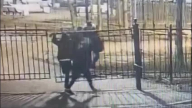 Задержаны 15-летние подростки, которые без мотива до смерти избили мужчину в саду Сан-Галли