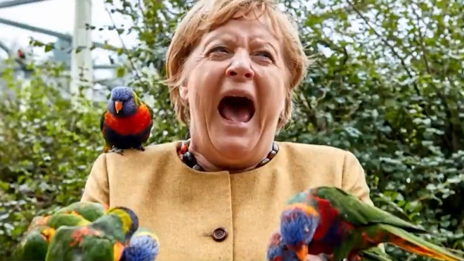 На Меркель в парке Марлоу "напал" попугай