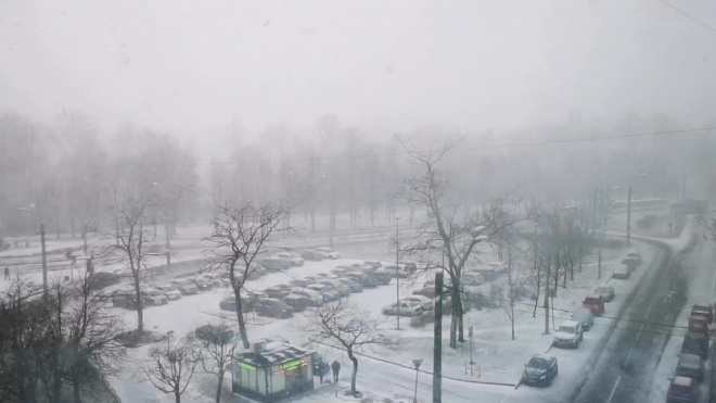 Первый день зимы порадовал петербуржцев снегопадом