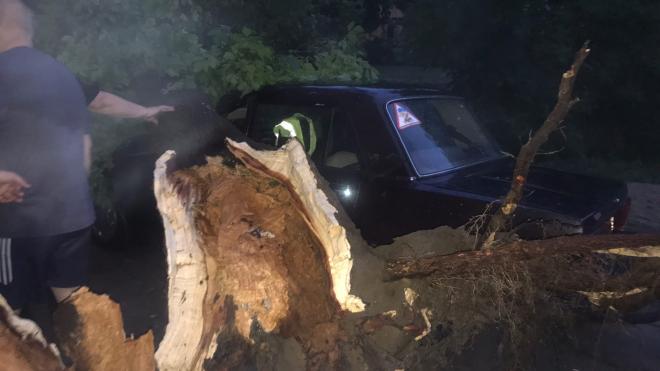 Во Владимирской области ураган повалил почти 100 деревьев 