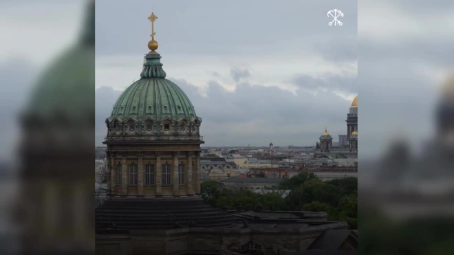 Ко Дню семьи, любви и верности в Думской башне расцвели ромашки и гипсофилы