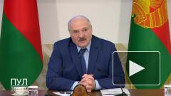 Лукашенко заявил, что президентами "рождаются"