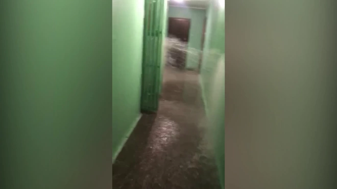 Видео: в Металлострое затопило этаж из-за прорыва пожарного гидранта