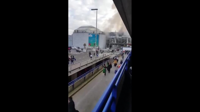 Паника в аэропорту Брюсселя после двух взрывов попала на видео