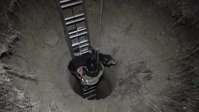 В Грозном сотрудники МЧС спасли провалившуюся в яму собаку