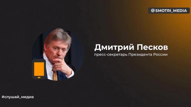 Песков: Шойгу доложил Путину о героическом бое в районе Урожайного