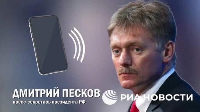 Песков прокомментировал информацию о возможной отставке Залужного