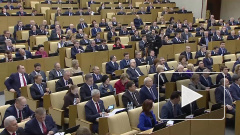 Экс-депутат Госдумы сравнил просьбы россиян и бизнеса с мародерством 