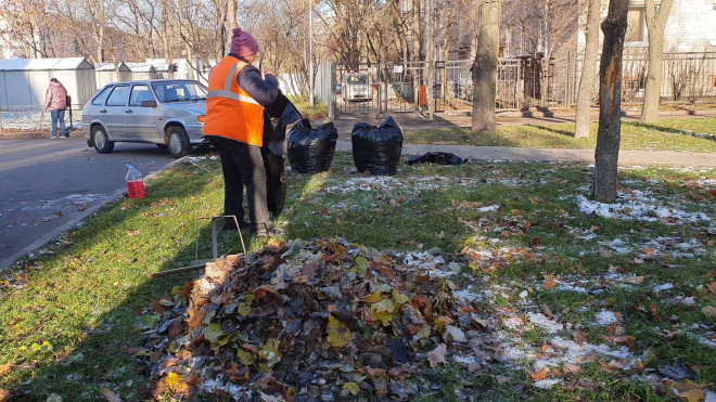 Более 86 тысяч кубометров мусора: в Петербурге завершился месячник по благоустройству
