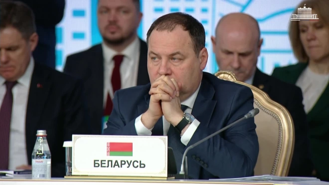 Мишустин заявил, что РФ сосредоточится на продбезопасности во время председательства в ЕАЭС