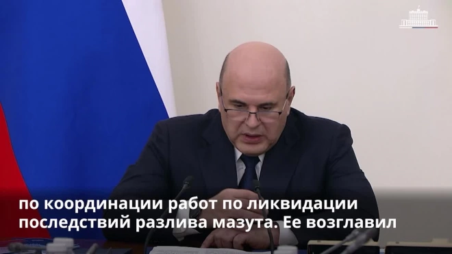 Мишустин создал комиссию по ликвидации последствий разлива мазута в Керченском проливе