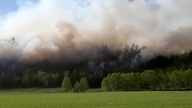 На Камчатке зафиксировали второй природный пожар в районе режима ЧС