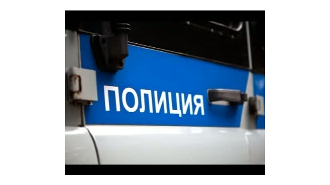Полиция Брянска нашла пустую коляску похищенной девочки