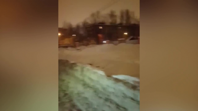 Свора бездомных собак нападает на людей на Ручьёвской дороге