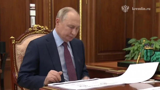 Путин на встрече с Развожаевым отметил бесстрашие жителей Севастополя
