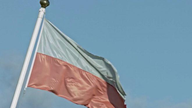 Польша пригласит российских наблюдателей на учения Defender Europe 20