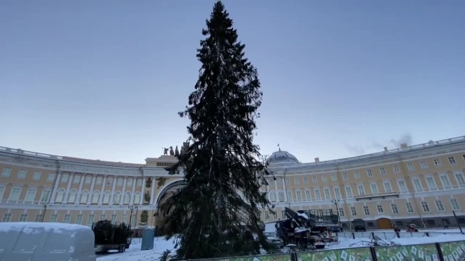 На Дворцовой площади установили главную новогоднюю ель