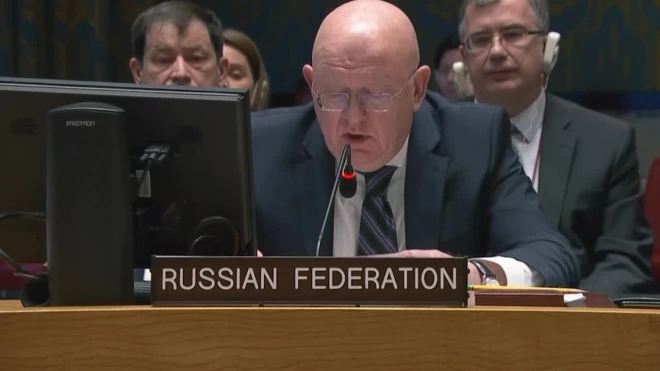 Россия призвала ООН помочь освободить удерживаемую Киевом правозащитницу Бережную