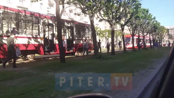Видео: петербуржцам пришлось идти пешком до "Новочеркасской" из-за пробки из трамваев