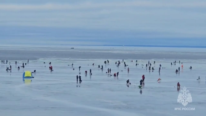 В Петербурге 35 рыбаков отправились в плавание на оторвавшейся льдине