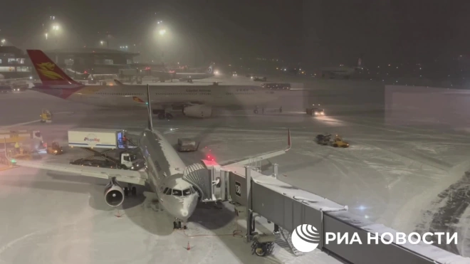 В аэропортах Москвы из-за снегопада задержали или отменили более 40 рейсов