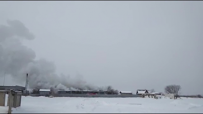 Видео: в Шушарах загорелся завод с бутылками из пластика 