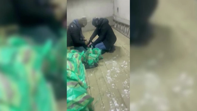 В Петербурге у контрабандистов изъяли более 641 кг кокаина