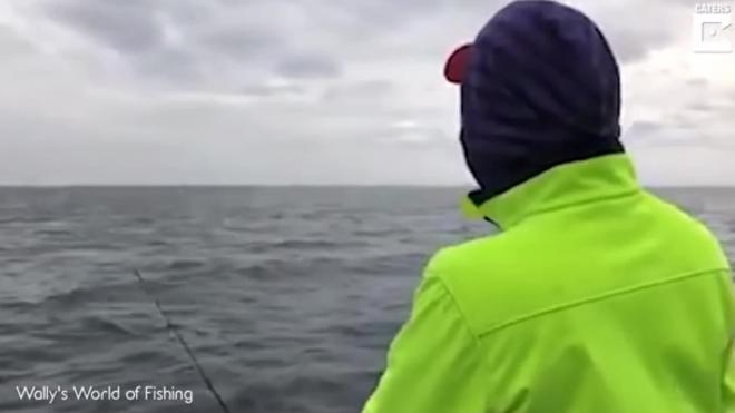 Надоедливый тюлень похитил улов у неопытного рыбака