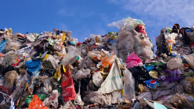 В Приморье только 8% мусора идёт на переработку