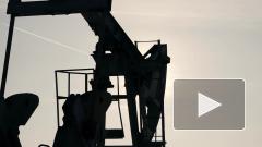 Цена нефти Brent опустилась ниже $55 за баррель