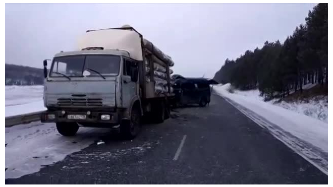 В Иркутской области погибли 4 человека в ДТП маршрутки и лесовозом