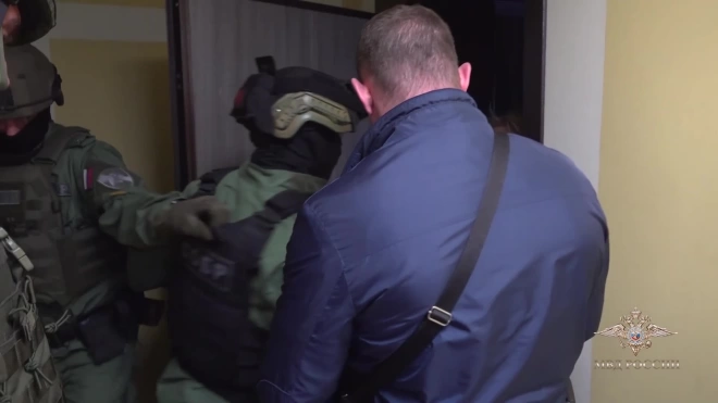 В Петербурге полицейские задержали мошенников, продающих несуществующие морские контейнеры