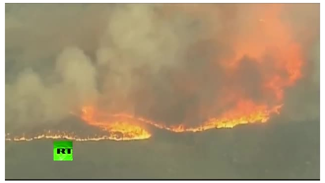 При тушении лесного пожара в США погибли 25 спасателей