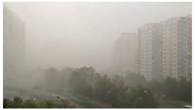 Ураган, поваливший сотни деревьев, бушевал над Москвой в День России