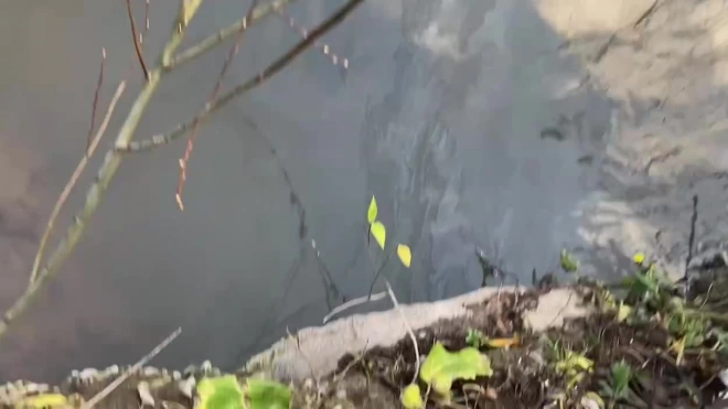 Загрязнение Невы в районе Большеохтинского моста ликвидировали