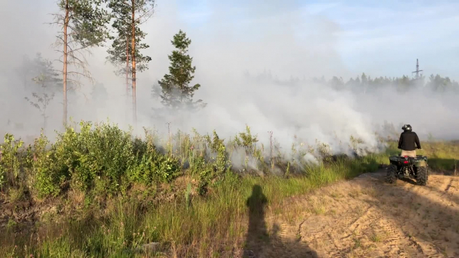 В Ленинградской области вертолет устранил тление в лесу