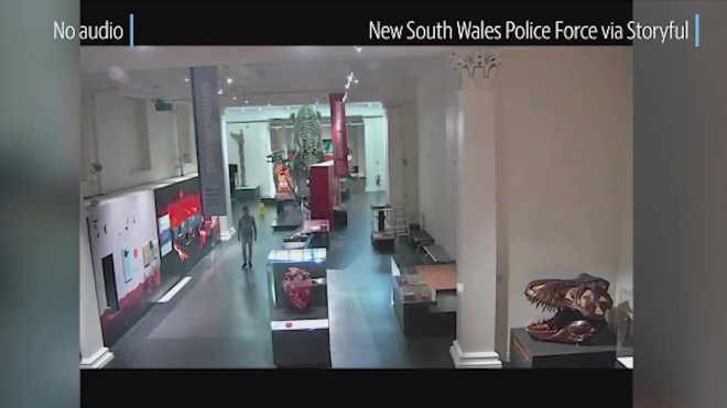 Проникшего в музей ради селфи с черепом динозавра мужчину арестовали